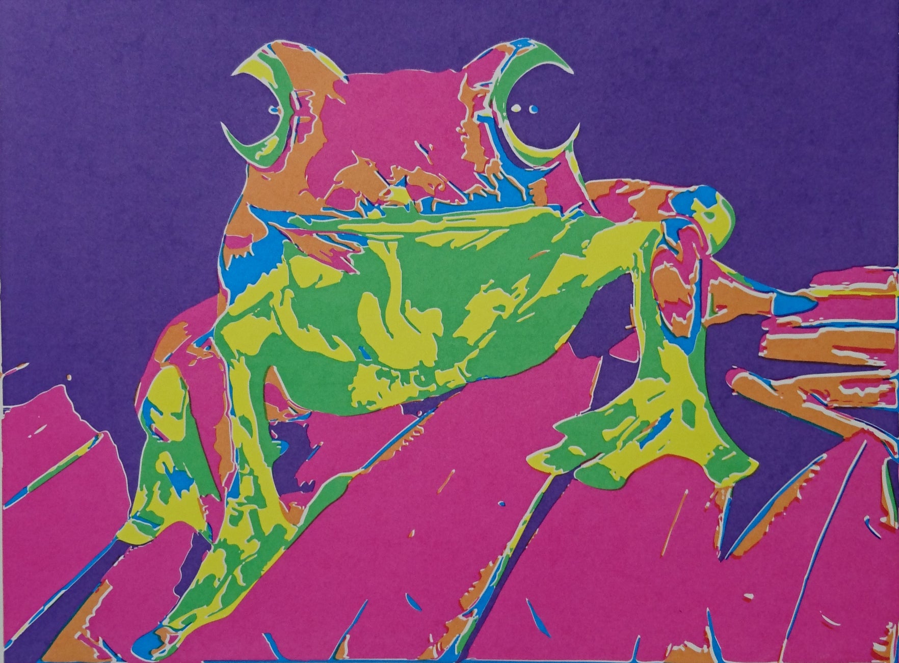 Yurayaa frog Aboriginal Art by Mawu-gi Artist Printmaker Painter Brent Emerson Gamilaraay Kamilaroi Serigraph Screenprint
